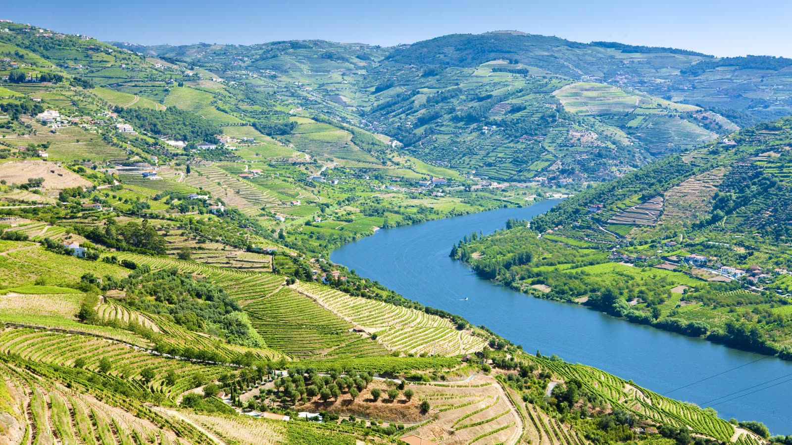 Douro Valley vineyard terraces, Portugal - river cruise signature trip